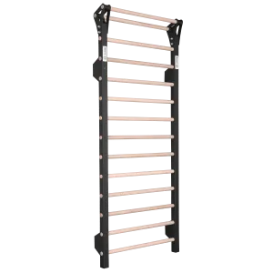 Ribbevegg Maniak Stall Bar Pro Svart