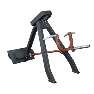 Plate Loaded T-Bar Row